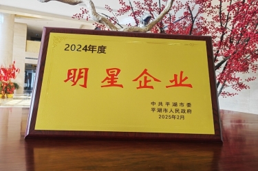 新春新景新氣象 | 景興紙業(yè)在平湖三干大會(huì)上喜摘榮譽(yù)！